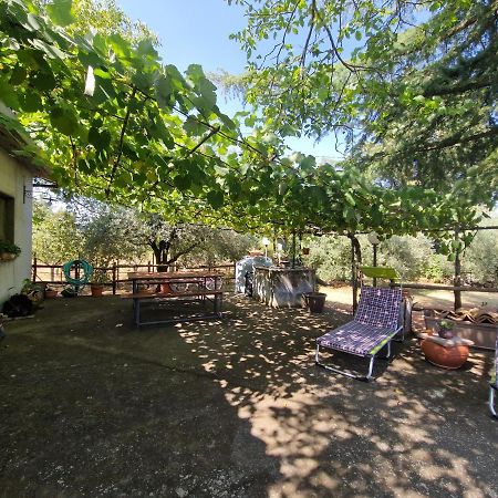 La Casa Di Giulia Villa Бронте Екстериор снимка